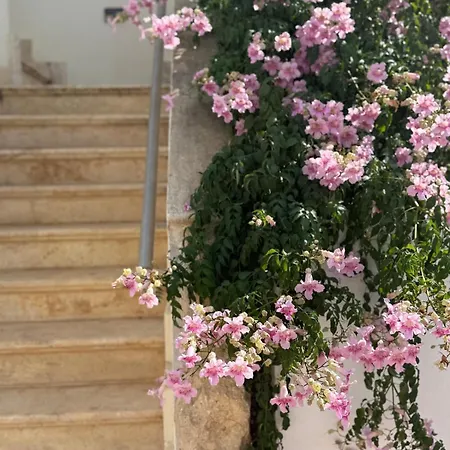 Apartment Agia Marina Gardens - Rural Retreat With Shared Pool & Parking Avgorou